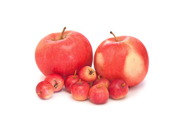Family photo Apples isolated on white