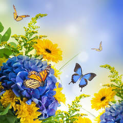 Bouquet from blue hydrangeas and  butterfly, a flower background