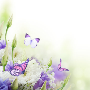 Fototapeta Bridal bouquet from white and pink flowers,  butterfly