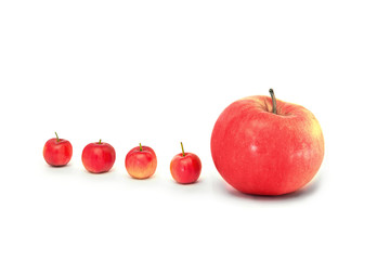 One by one red apples isolated on white