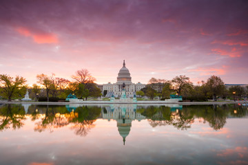 Obraz premium The United States Capitol building in Washington DC, sunrise