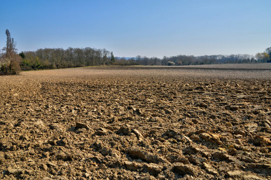 France, field in Vernouillet in les Yvelines