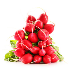 Bunch of radish isolated on white background