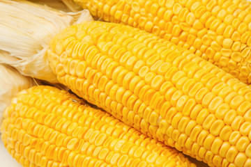 Yellow sweet corn cob for background