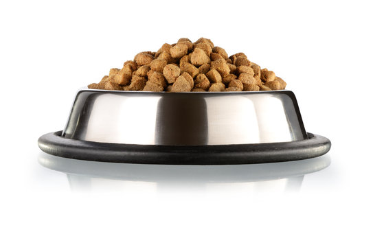 Cats and dogs food
