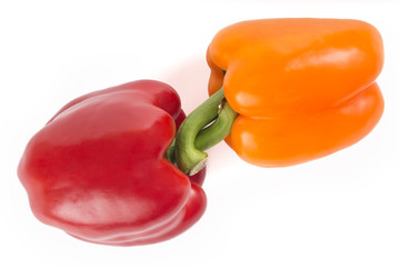 Paprika