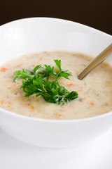Creamy vegetables and mushroom soup