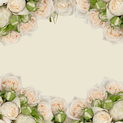 abstract white roses frame