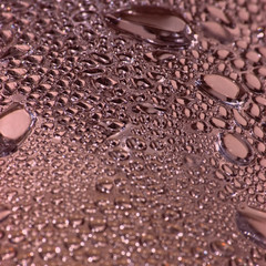 Abstract bordeaux dew drop bubble macro background