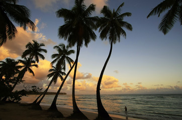 Las Terrenas beach at sunset, Samana peninsula