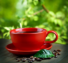 cup of fresh coffee