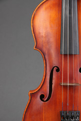 Classical violin on grey background