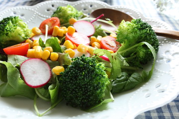 goumret appetizer, broccoli and assorted vegetable salad