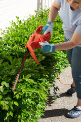 Woman trimming bushes