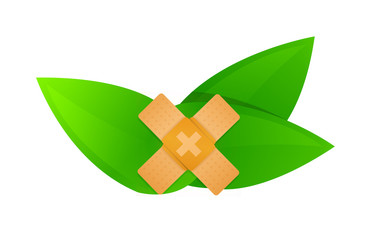 eco ecology ecological nature or environmental