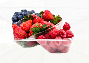 strawberries market package with a greenhouse background