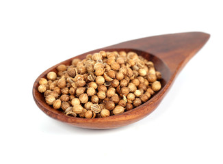 Heap coriander seeds in wooden spoon