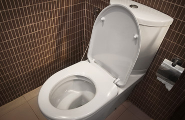 toilet seat