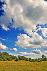 Fototapeta premium Summer landscape