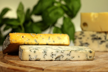 Various types of cheese closeup