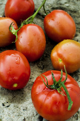 Tomatoes from the garden