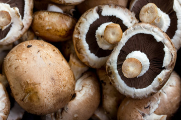 mushrooms background