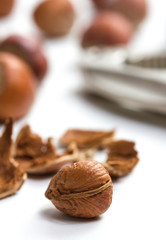 isolated hazelnuts