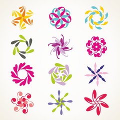 Obraz premium Flowers collection. Decorative graphic elements for decoration