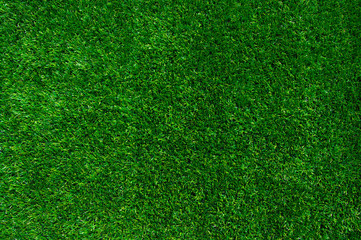Obraz premium Background of a green grass