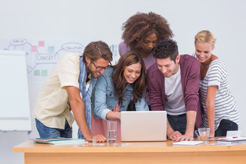 Fototapeta premium Creative team looking at laptop