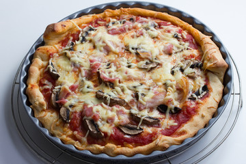 selfmade baked mushroom pizza