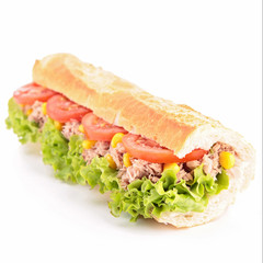 isolated sandwich