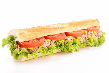 isolated sandwich