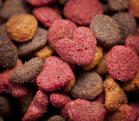 forage for dogs and cats.
