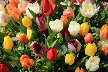 Mixed tulip bouquet
