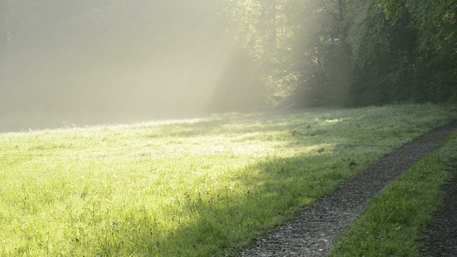 tantzender Dunst am Morgen