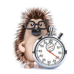 Cute hedgehog counts the seconds © Steve Young