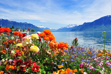 Obrazy na Szkle  kwiaty, góry, stare jezioro