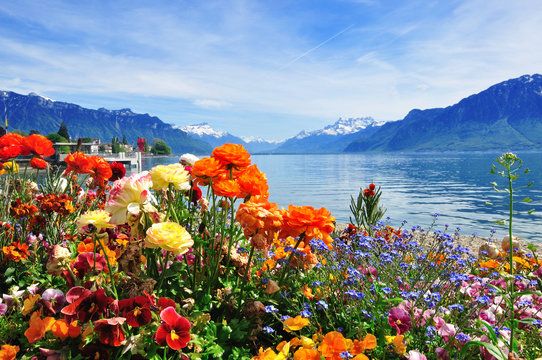 flowers, mountains ald lake