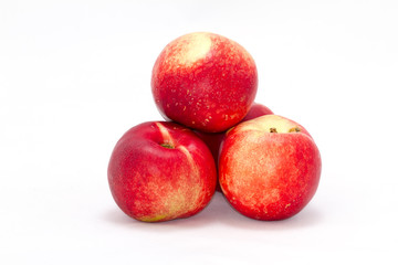 Nectarines isolated on white