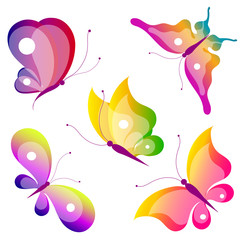 Fototapeta premium butterfly,butterflies
