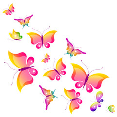 butterfly,butterflies vector