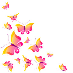 butterfly,butterflies vector