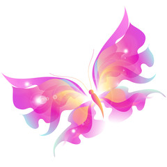 butterfly,butterflies vector