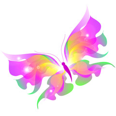 butterfly,butterflies