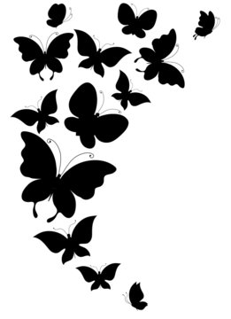 butterfly,butterflies vector