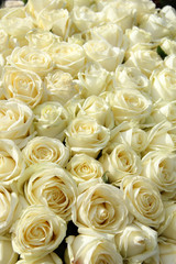 Group of white roses in floral wedding decorations