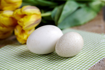 Gänseei und Entenei