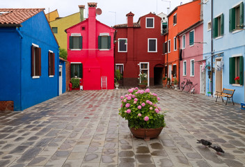 Fototapeta na wymiar Backyard w Burano, znany it `s kolory.