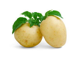 Potatoes with leaves